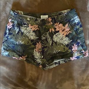 Market and Spruce Shorts